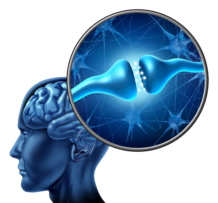 Chiropractic-Scottsdale-AZ-Brain-Health Chiropractic Scottsdale AZ Brain Health